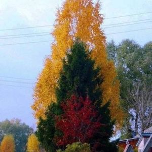 Meet your Posher, Wendye